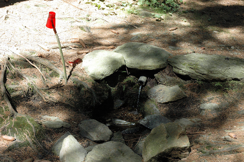 studánka Na dolíku (4592)