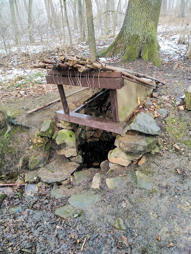 studánka Mladovožická (4596)