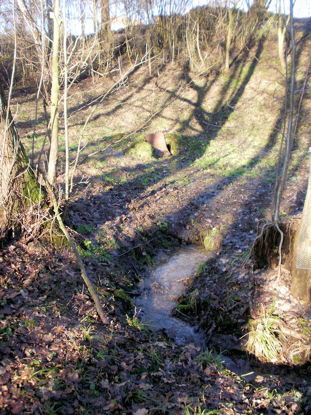 studánka bez jména (4597)