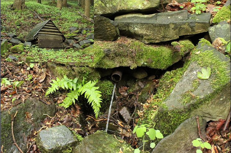 studánka U Mloka (4603)