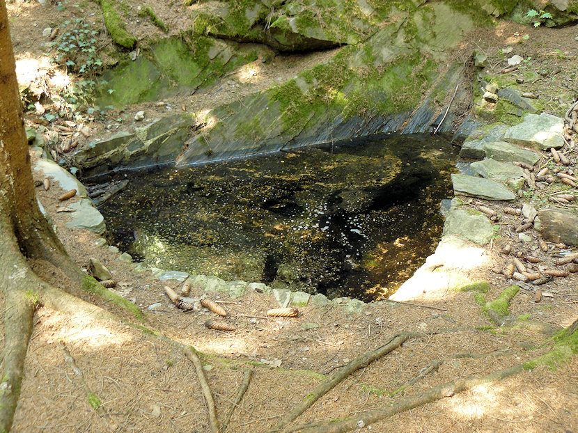 studánka U dvou studánek 2 (4608)