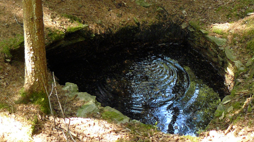 studánka U dvou studánek 1 (4609)