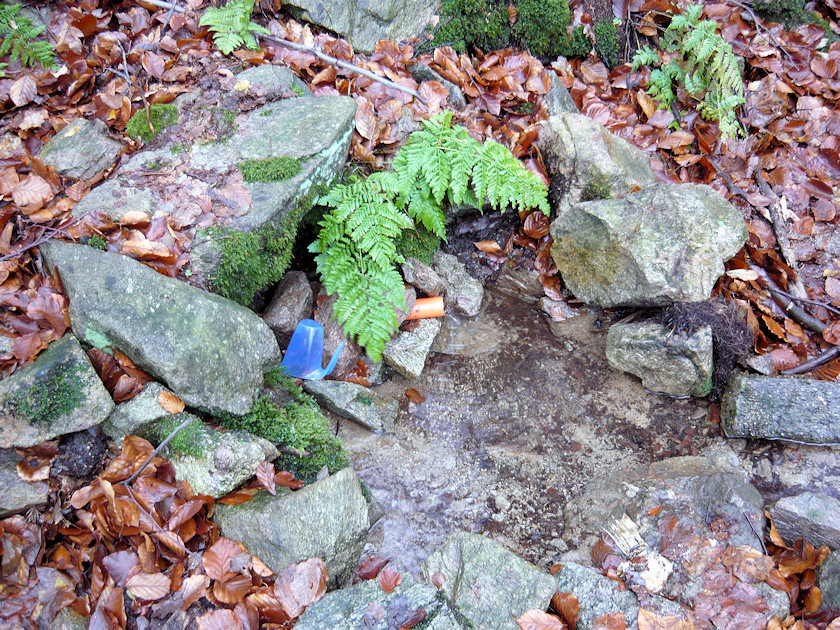 studánka Ždírnická (4639)