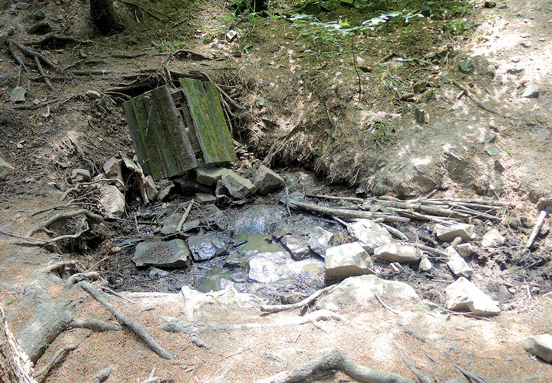 studánka bez jména (4652)