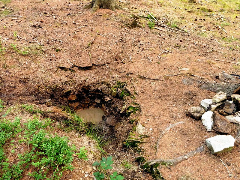 studánka bez jména (4654)