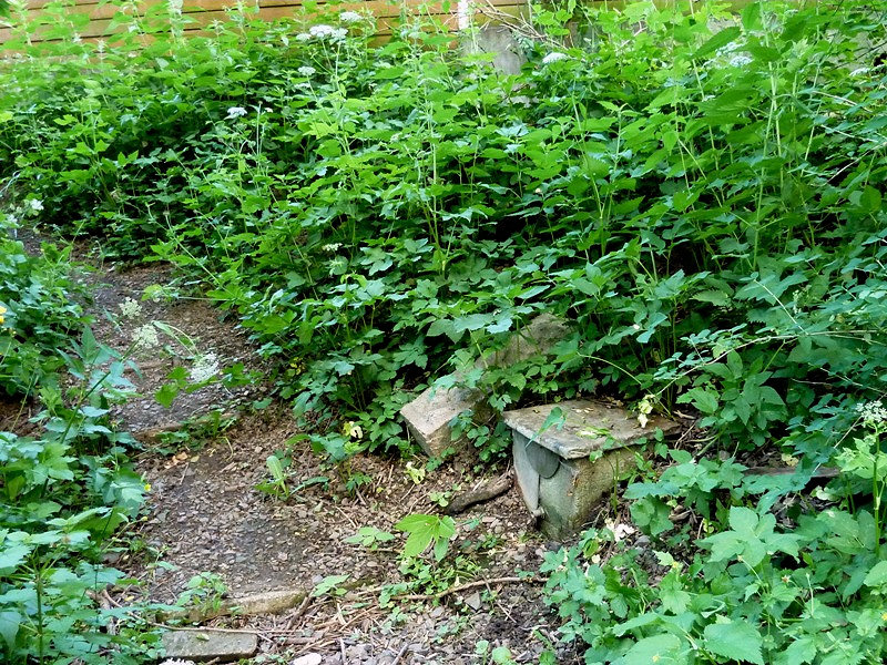 studánka bez jména (4655)