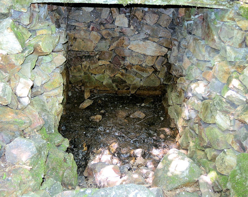 Černolická studánka (4657)