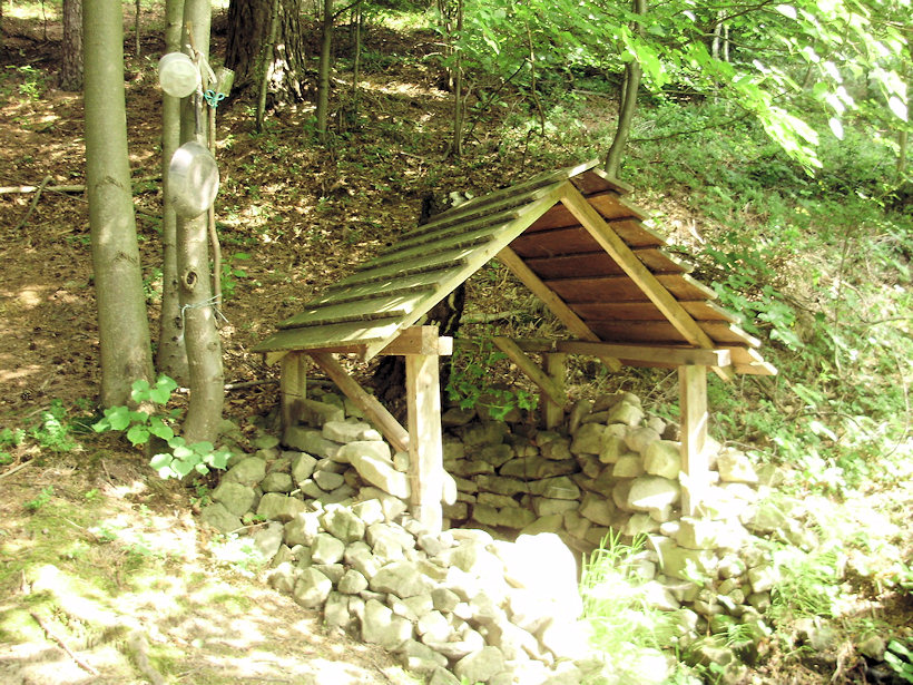 studánka bez jména (4666)