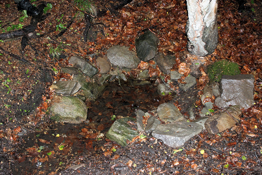 studánka Na Vaňkouši (4677)