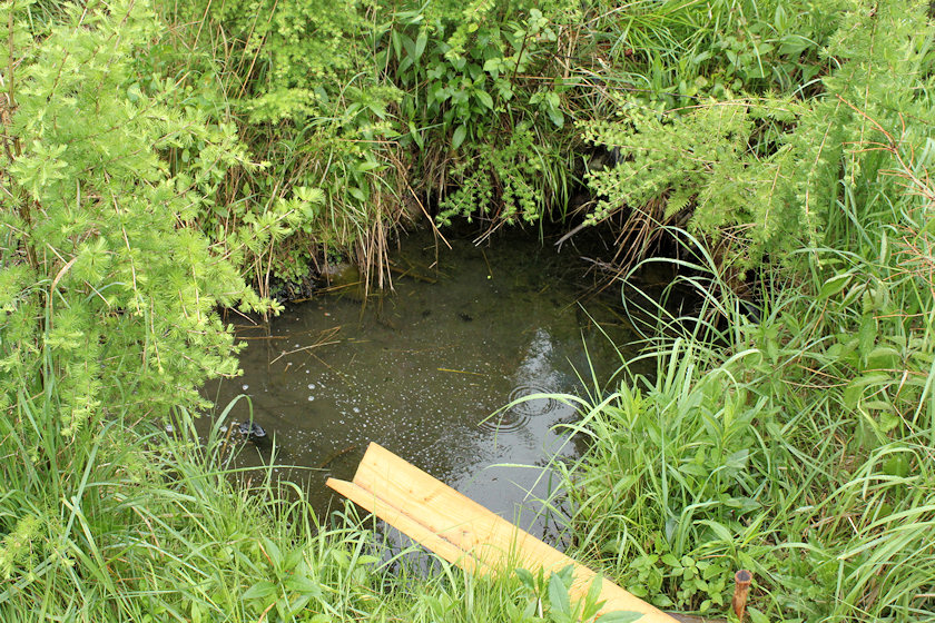 studánka Pod Vaňkoušem (4678)