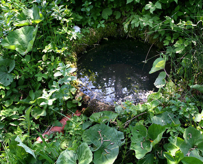 studánka U Vodojemu (4681)