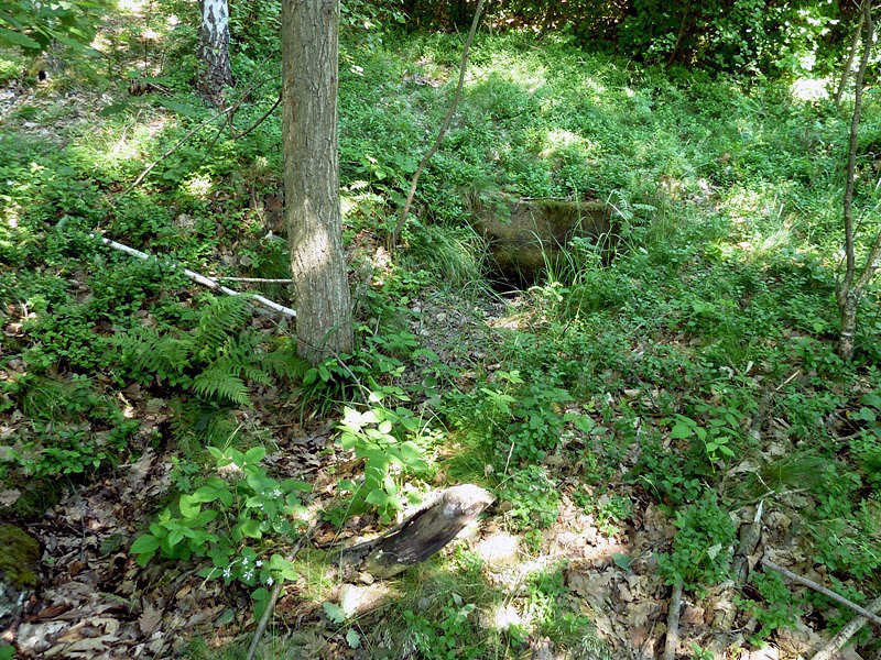 studánka bez jména (4689)