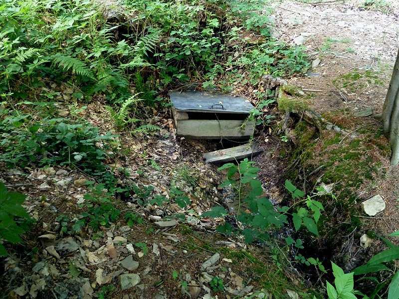 studánka bez jména (4694)