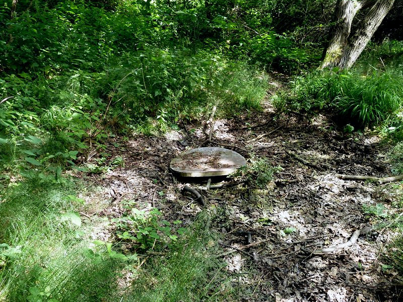 studánka bez jména (4695)