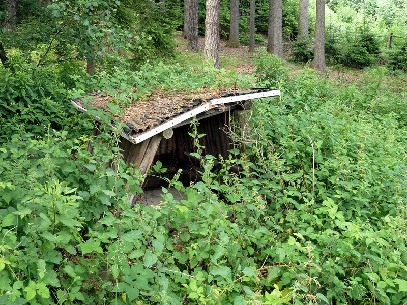 studánka bez jména (4697)