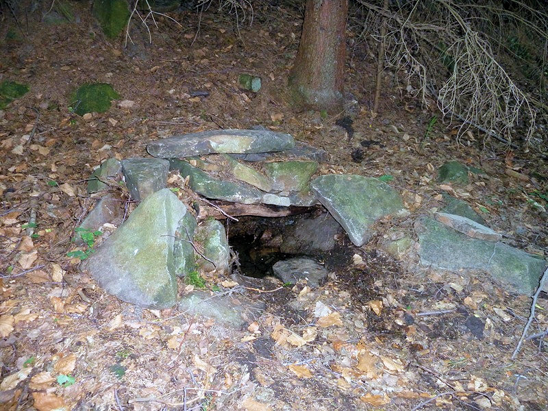 studánka Carcaio (4706)