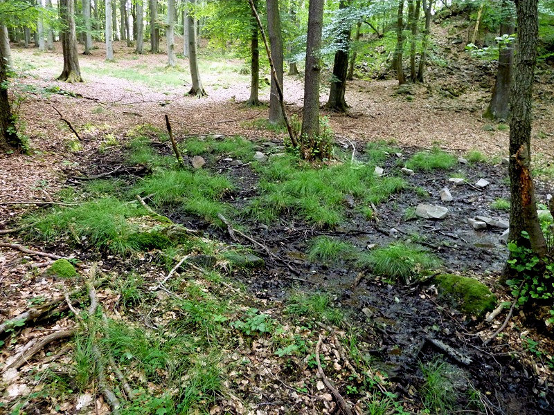 prameniště bez jména (4710)
