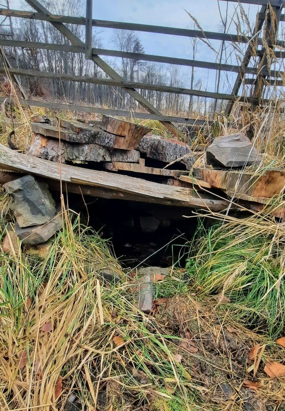 studánka Pod Kamennou (4711)