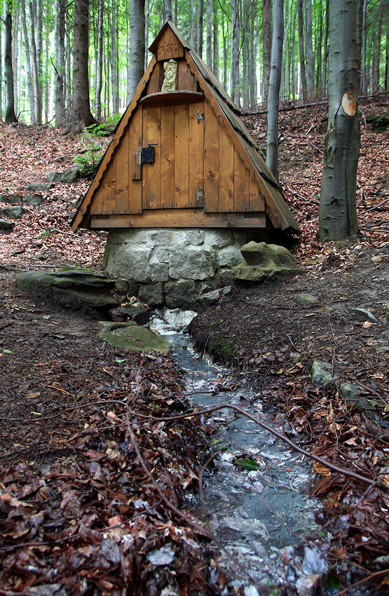 Sirná studánka (4712)