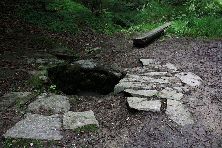 studánka bez jména (4721)