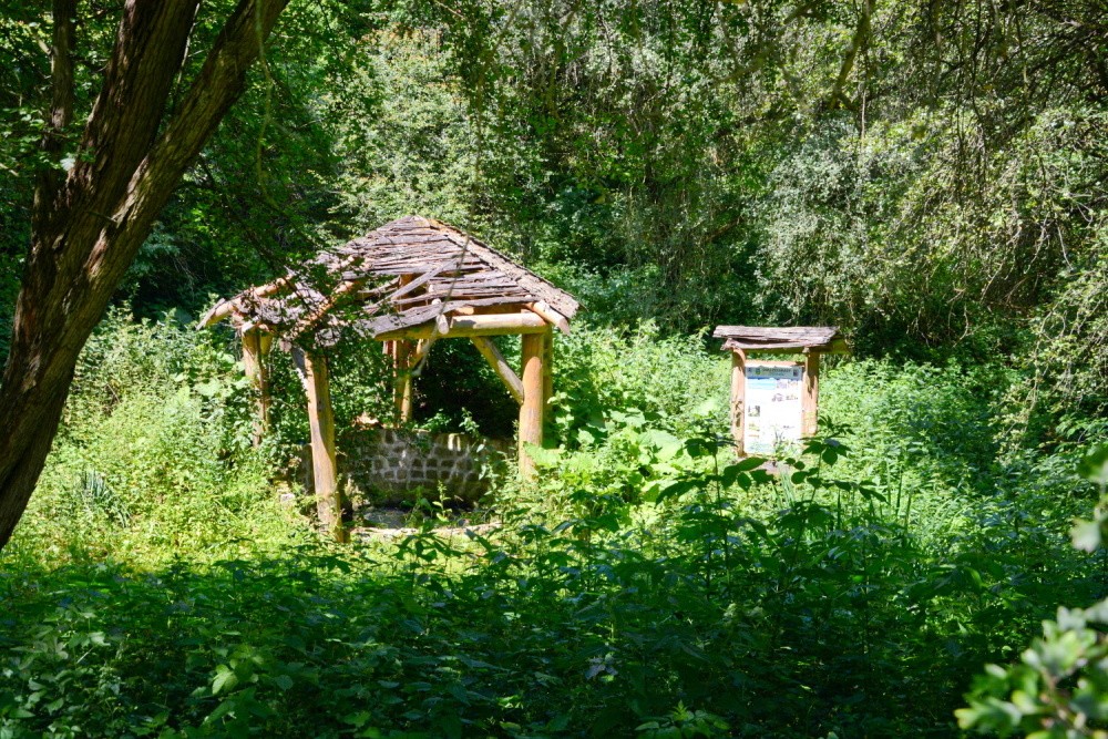 studánka bez jména (4727)