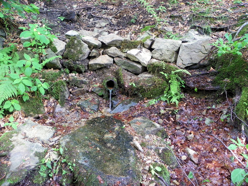 studánka V Domaslavickém údolí (4731)
