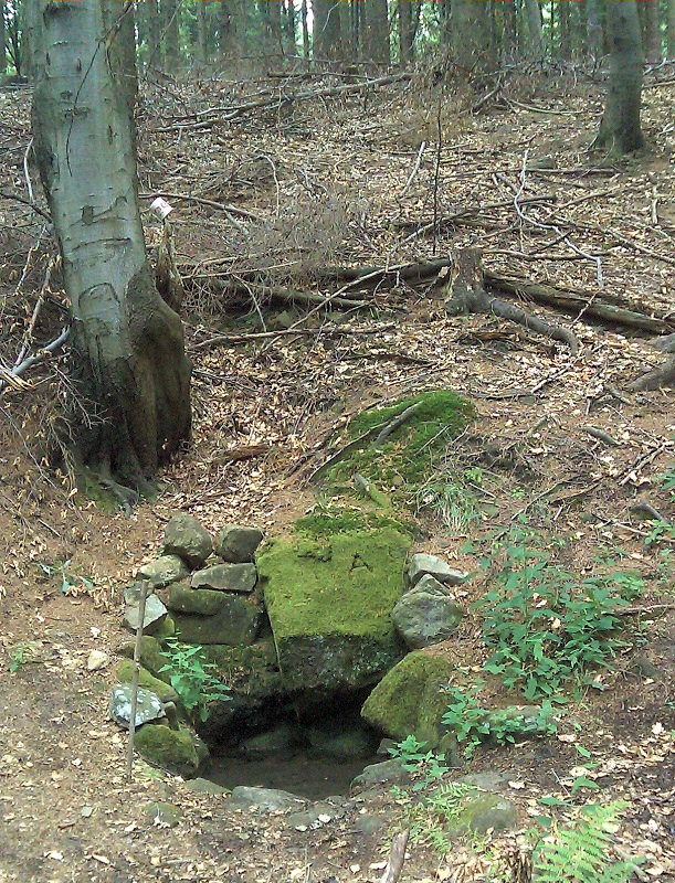 studánka Pod Suchým vrchem (4732)