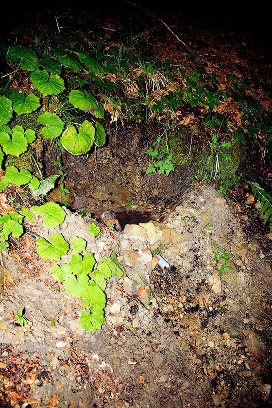 studánka bez jména (4733)