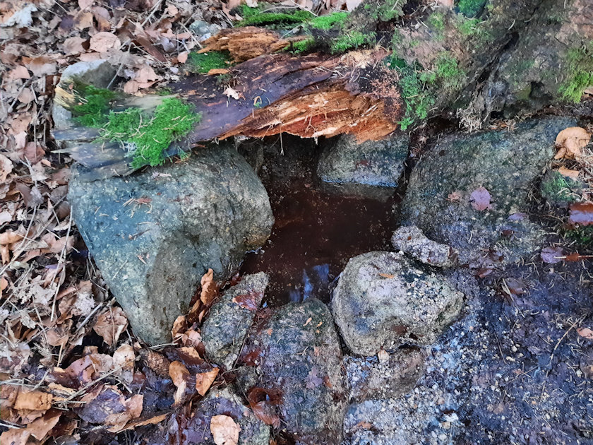 pramen Pod Dračí skálou (4740)