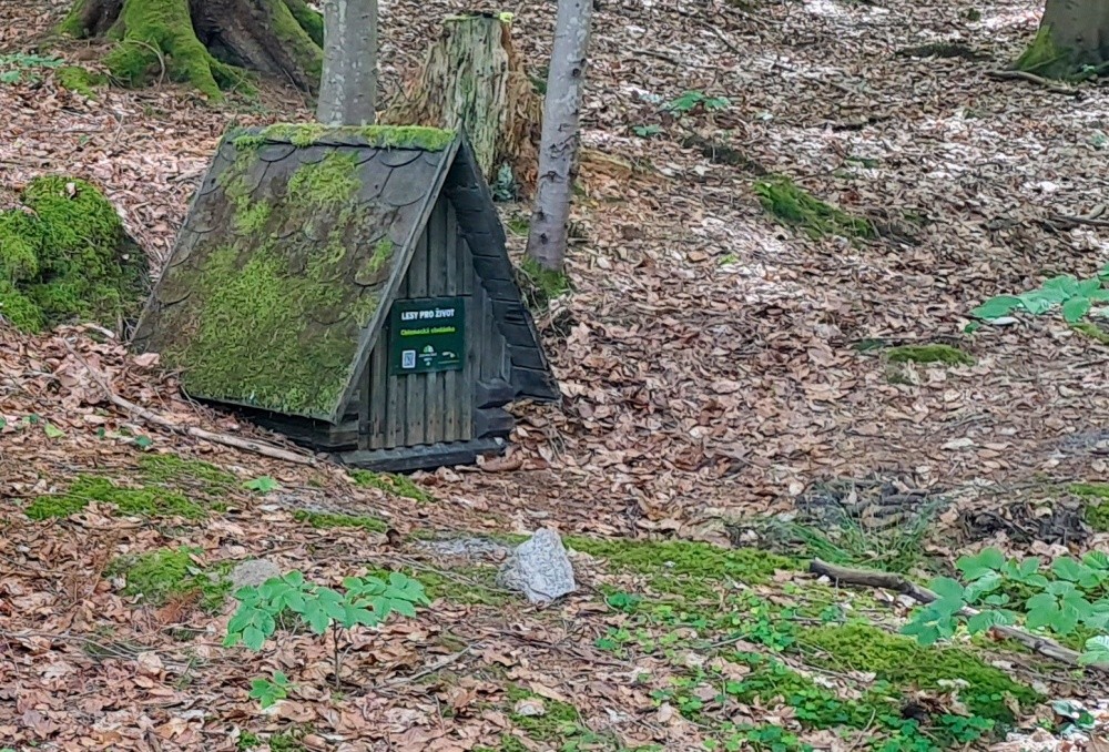 studánka Za Loučkou (4753)
