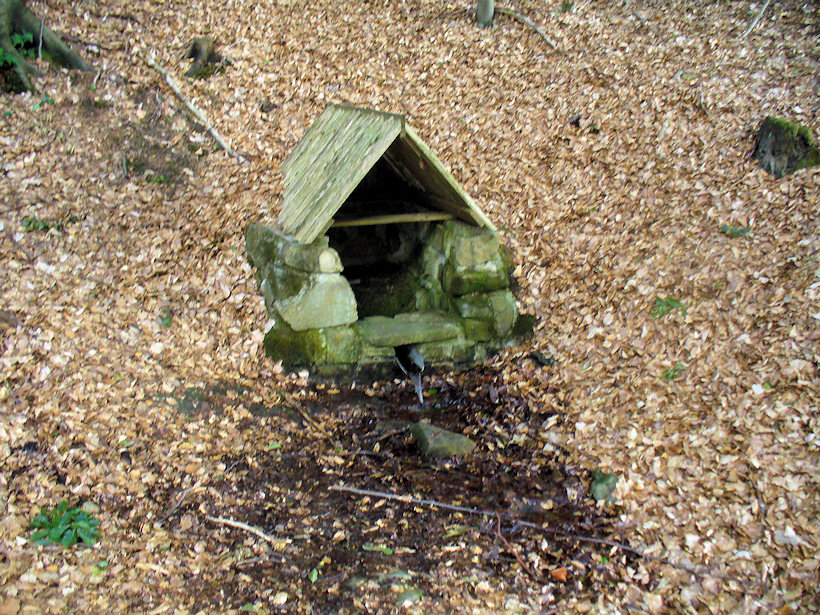 studánka U Štainbacha (4754)