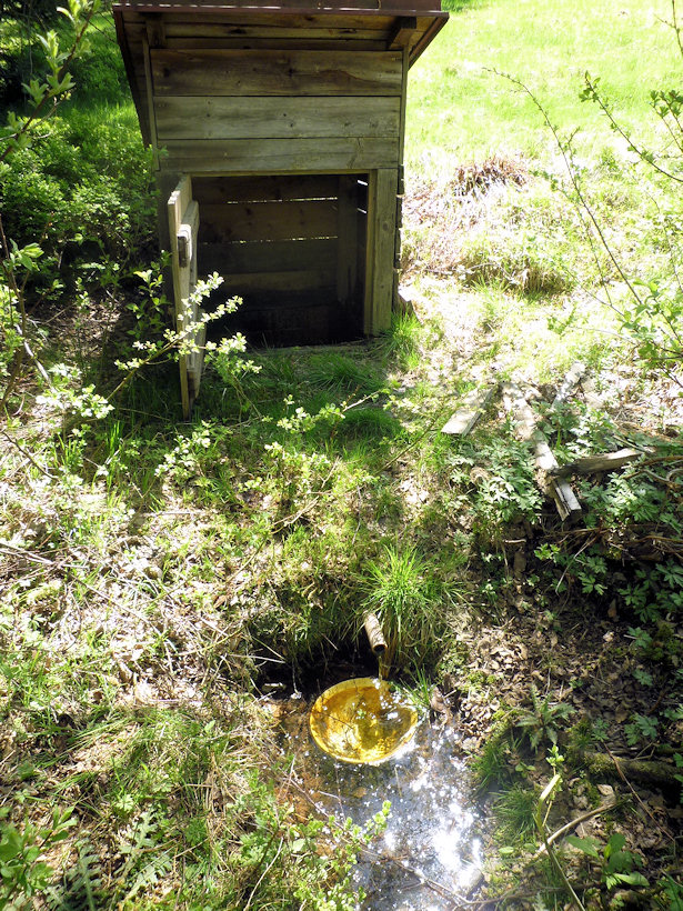 studánka Nad Hvězdnou (4763)