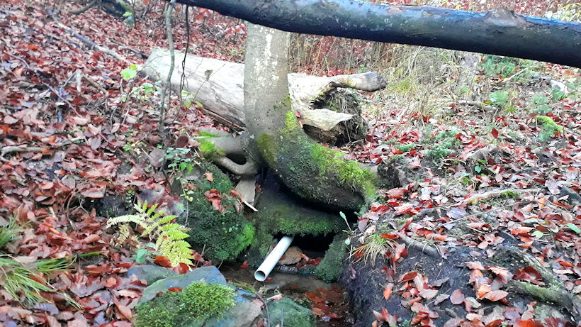 studánka Hladová voda (4764)