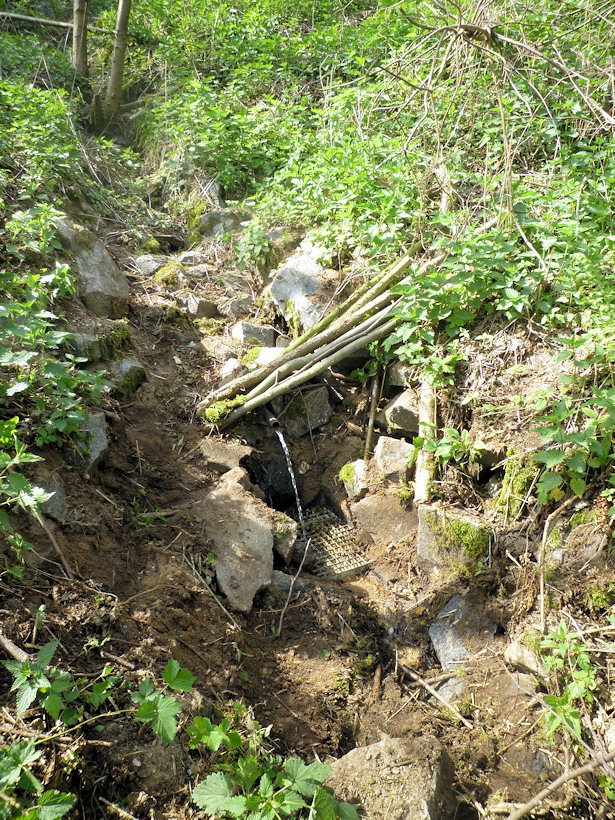 studánka Pod pískovnou (4765)