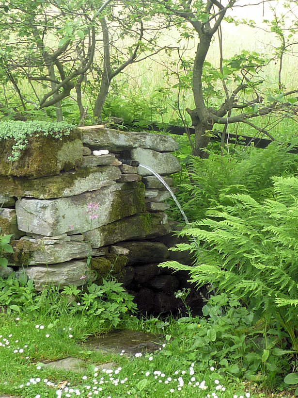 studánka Pod Plachtou (4766)