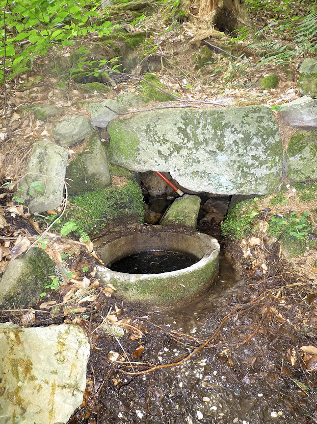 studánka Pod Zakopankou (4768)