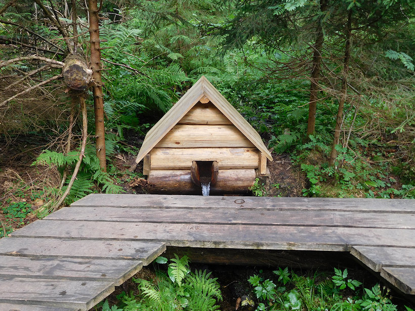 studánka Rejvíz (4775)