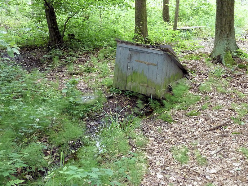 studánka bez jména (4778)