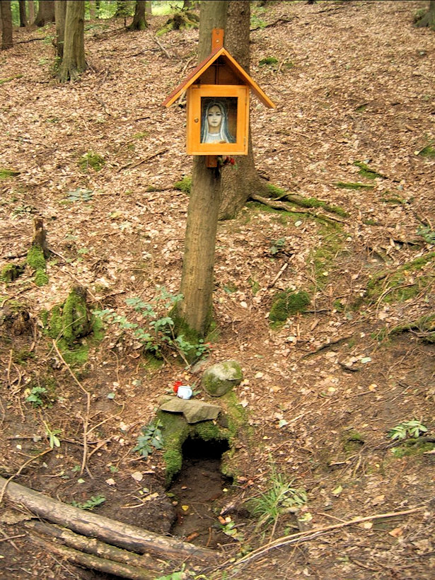 studánka Svatá voda (4780)