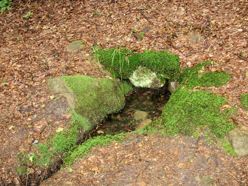 studánka bez jména (4790)