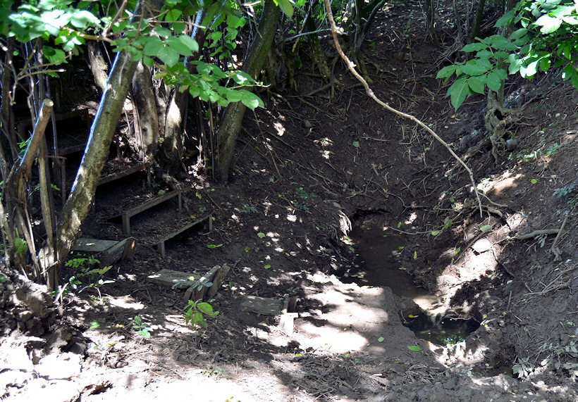 Kroutilova studánka (4796)