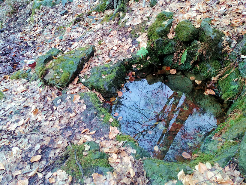 studánka Pod Čertovkou (4801)