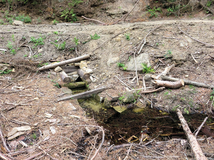Rasova studánka (4803)