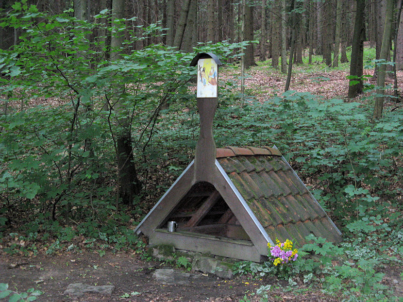 studánka Sv. Trojice u Vitějovic (4824)