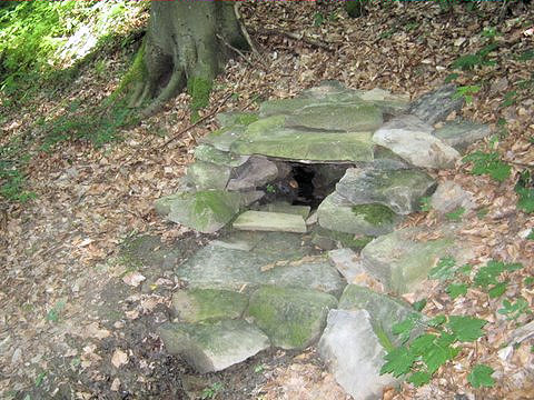 Vendulčina studánka (4833)