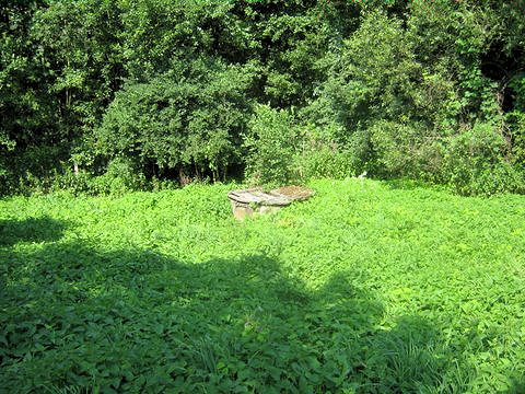 studna Farmářská (4836)