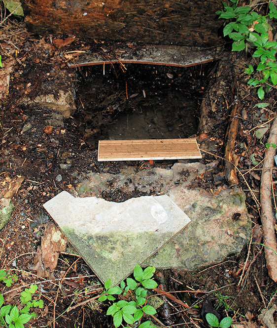 studánka U čtyř vrb (4843)
