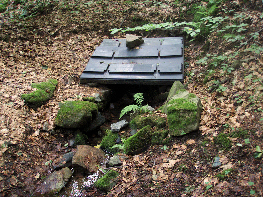 studánka Mezisvětí II (4851)
