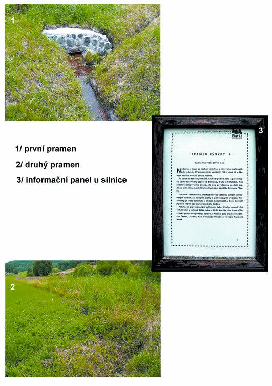 prameniště Prameny Pšovky (4854)