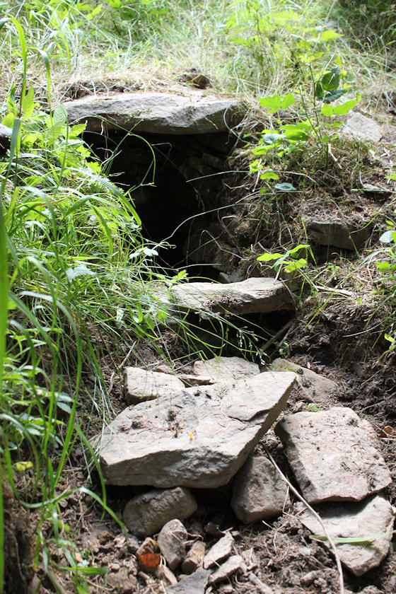 studánka V Žákovci (4857)